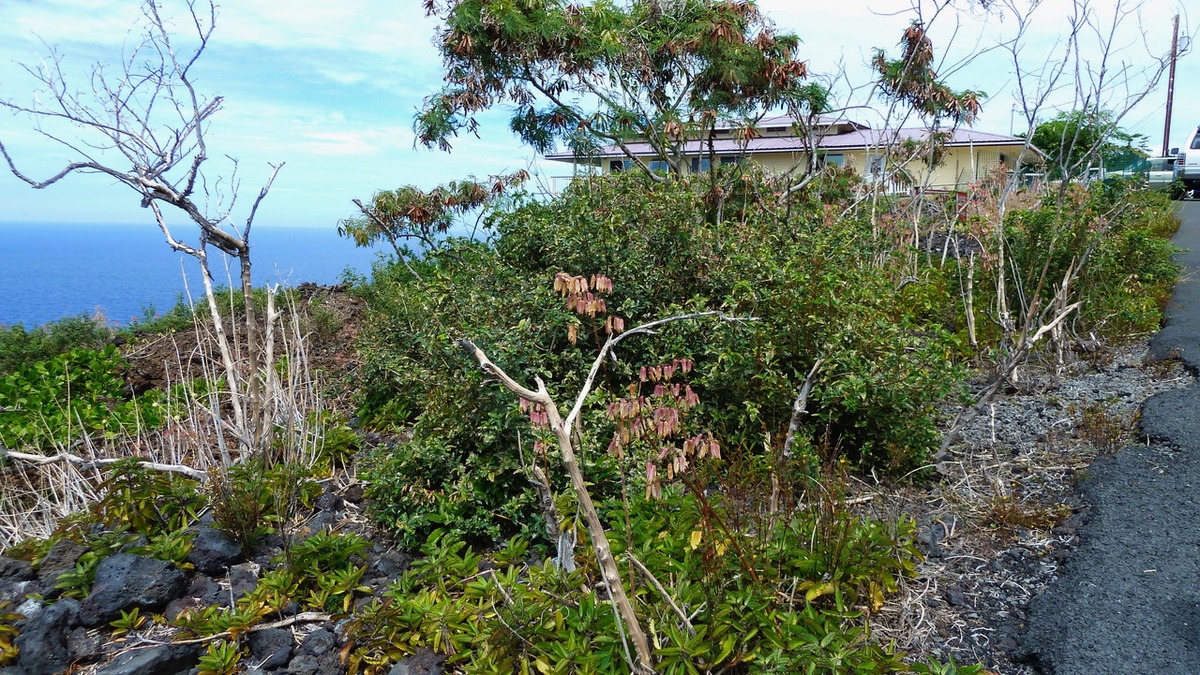 87-3179 HONU HIAMOE RD