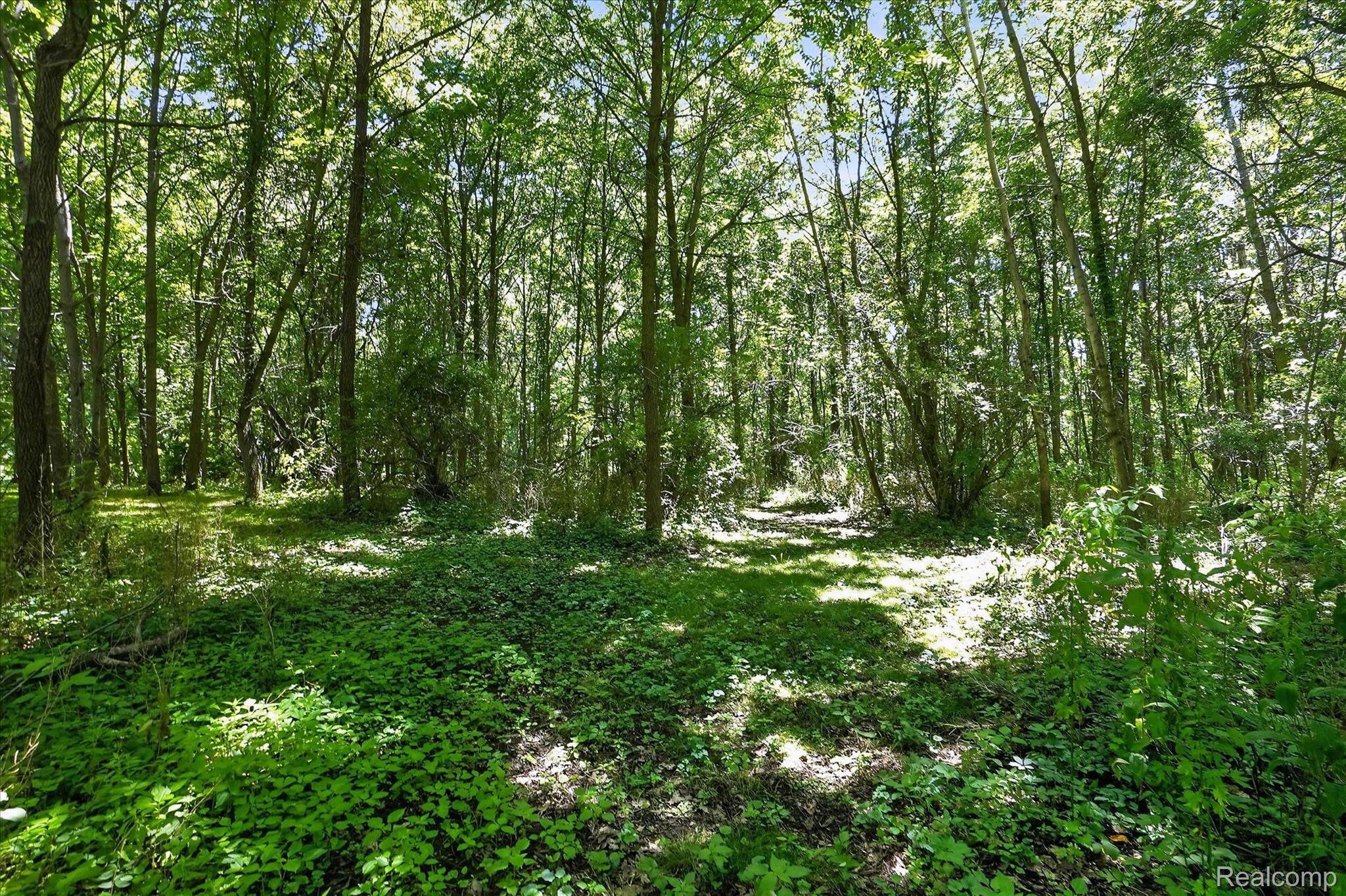7071 W Grand River Road