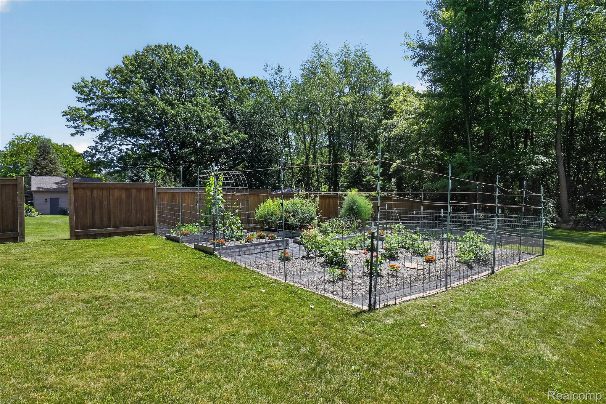 7071 W Grand River Road