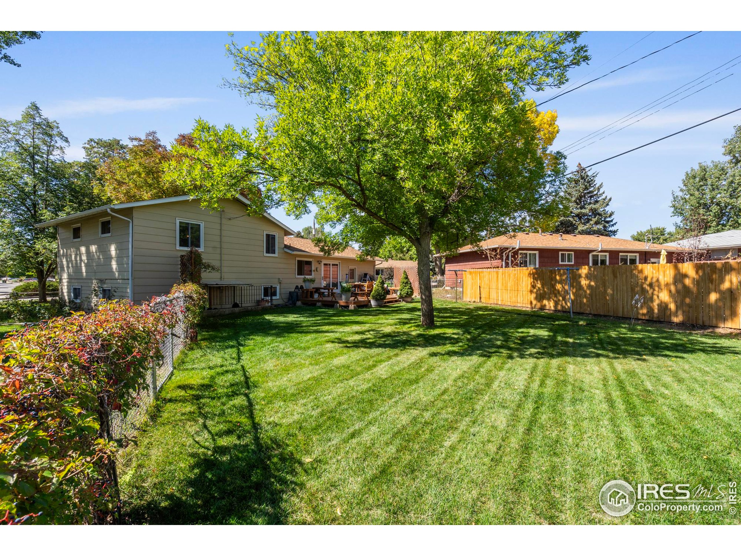 1103 Paloverde Dr