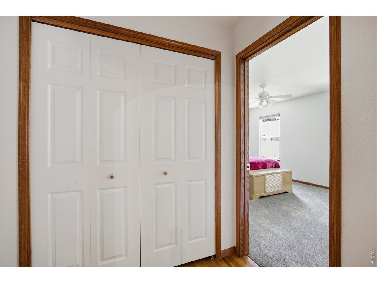 2614 Forsythia Dr