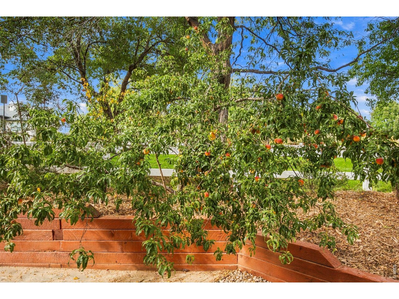 5586 Stone Church Ct