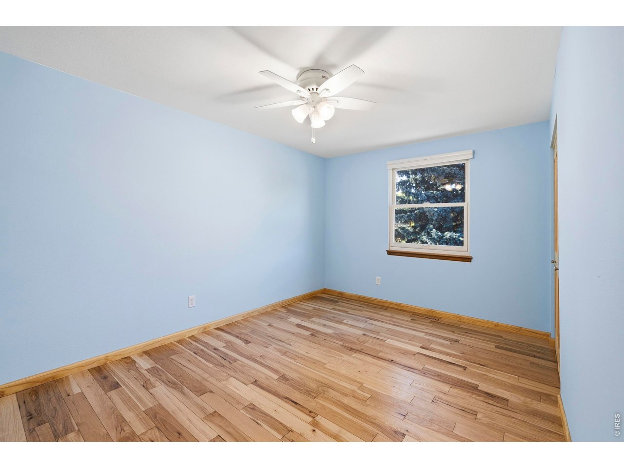 Empty bedroom with blue walls, wood flooring, ceiling fan, and a window overlooking trees.