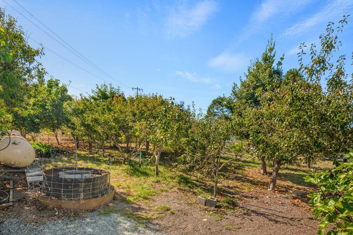 486 Stage RD