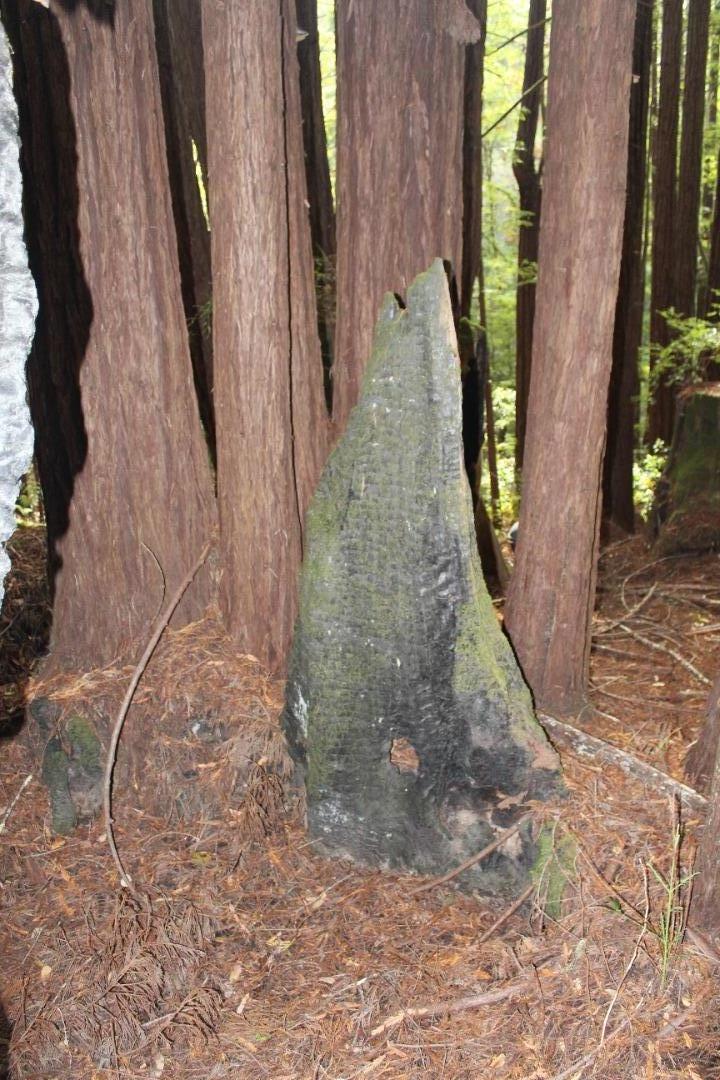 000 Tunitas Creek RD