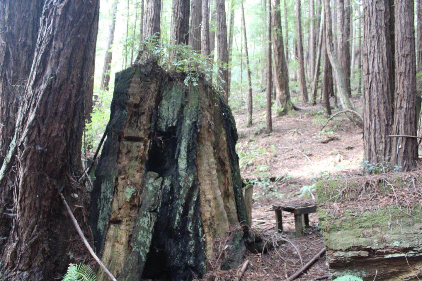 000 Tunitas Creek RD