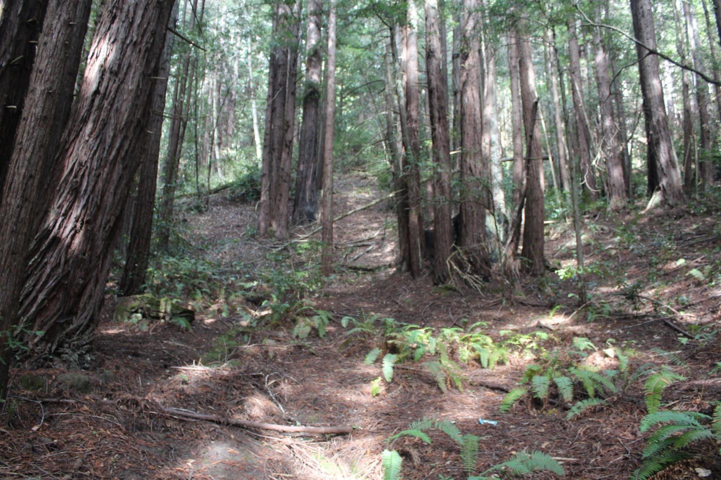 000 Tunitas Creek RD