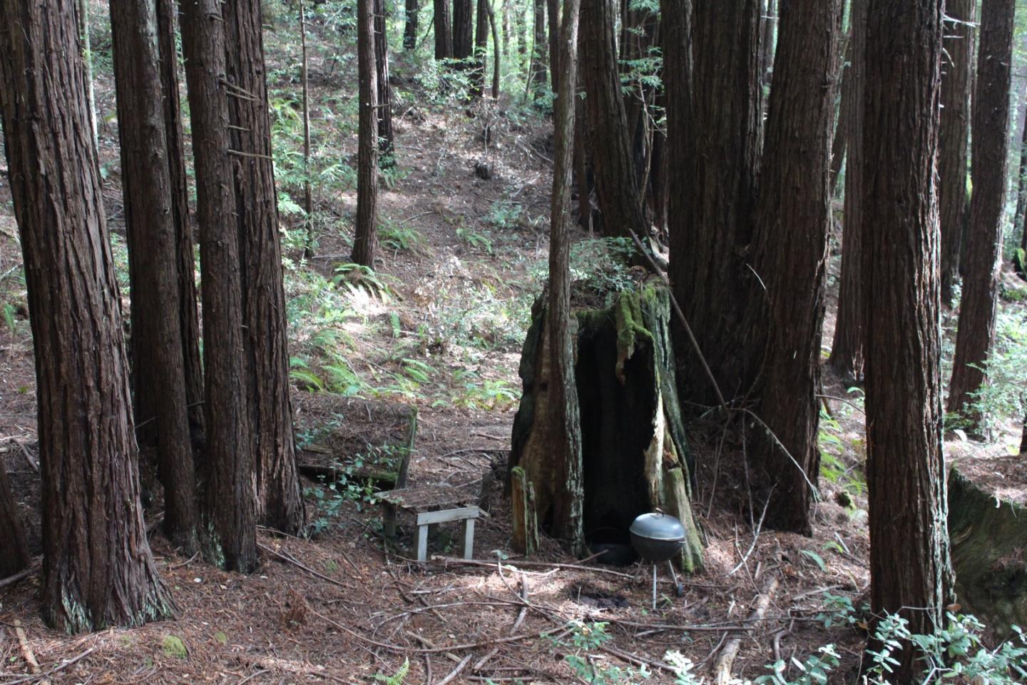 000 Tunitas Creek RD