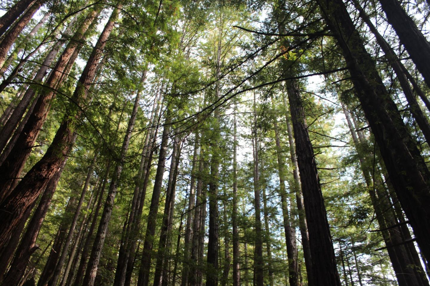 000 Tunitas Creek RD