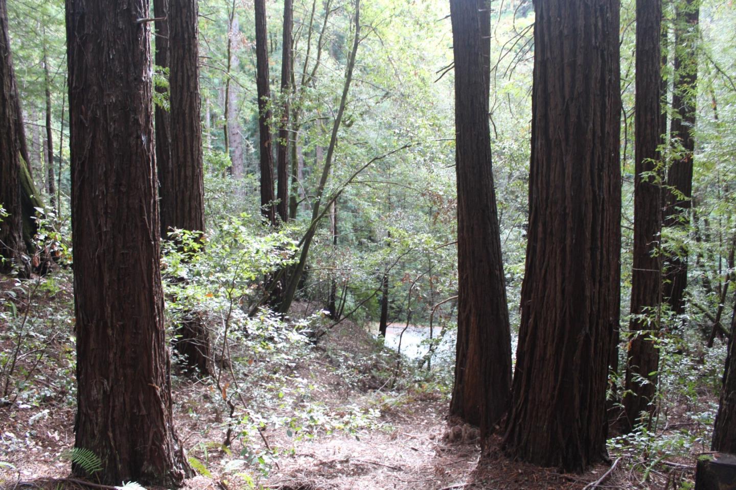 000 Tunitas Creek RD