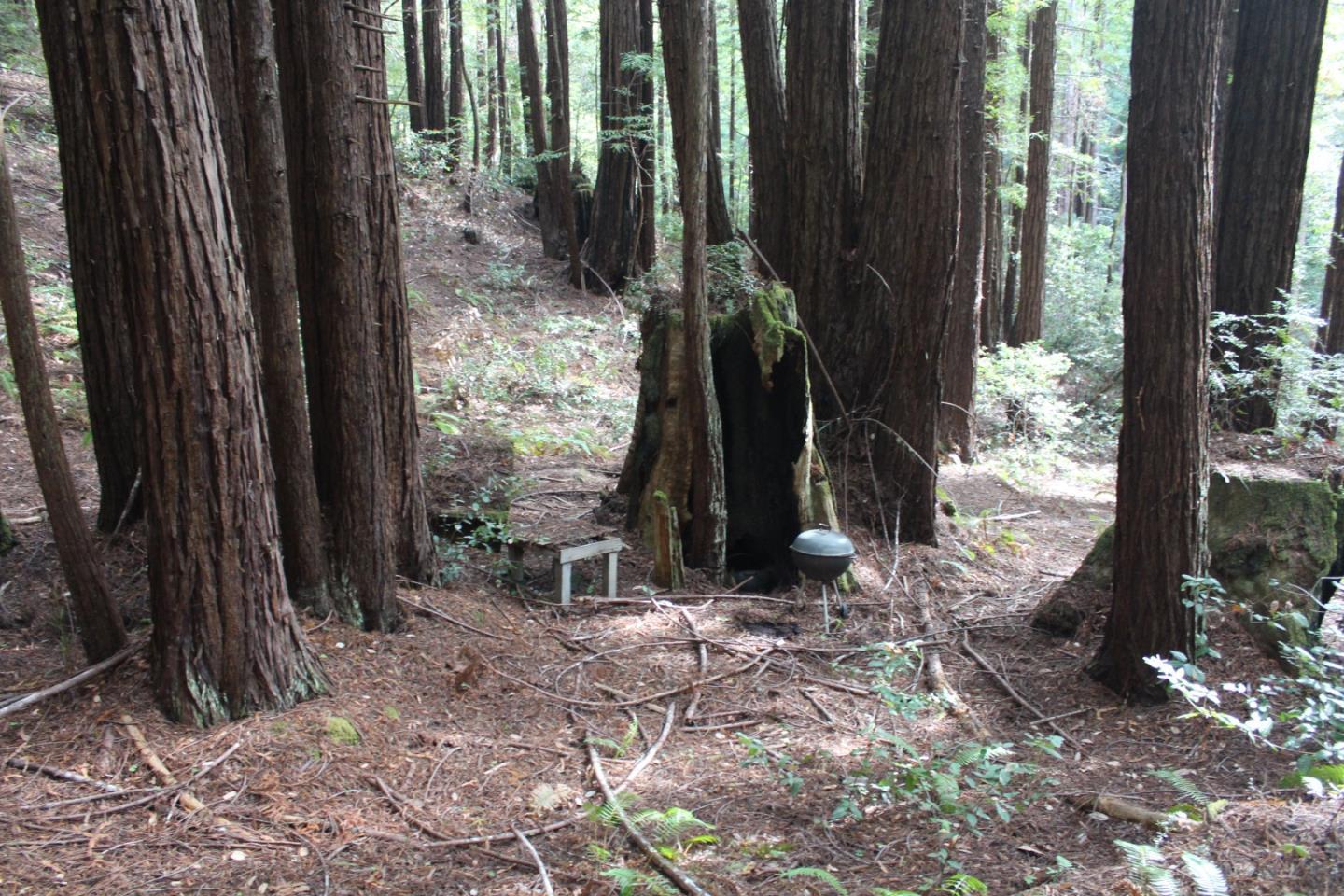 000 Tunitas Creek RD