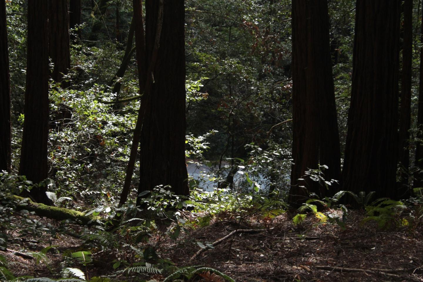 000 Tunitas Creek RD