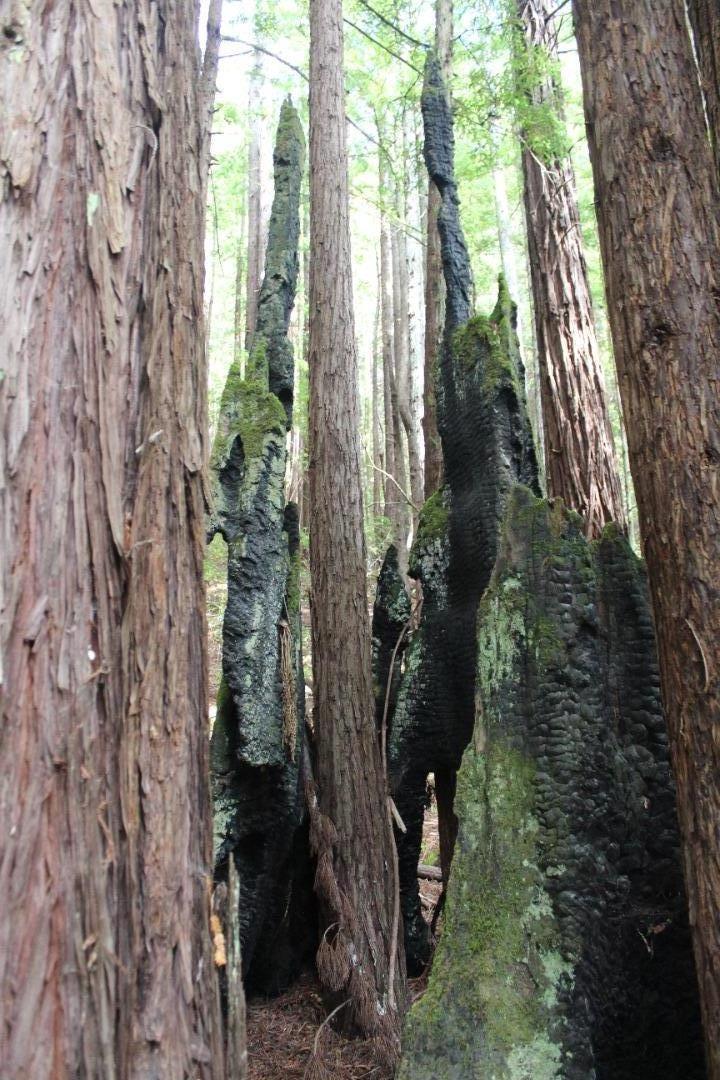 000 Tunitas Creek RD