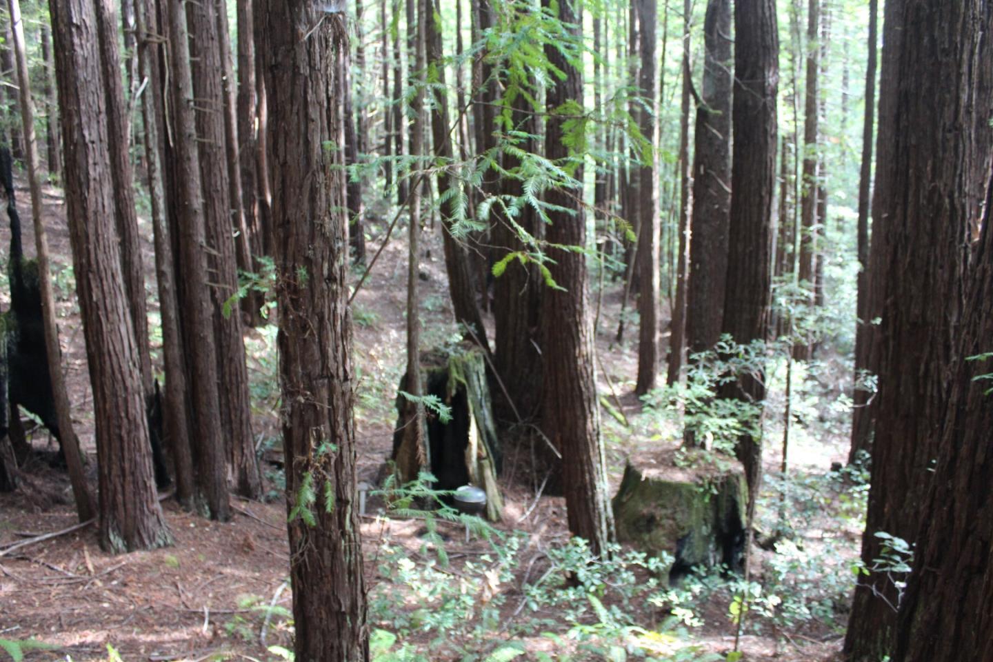 000 Tunitas Creek RD