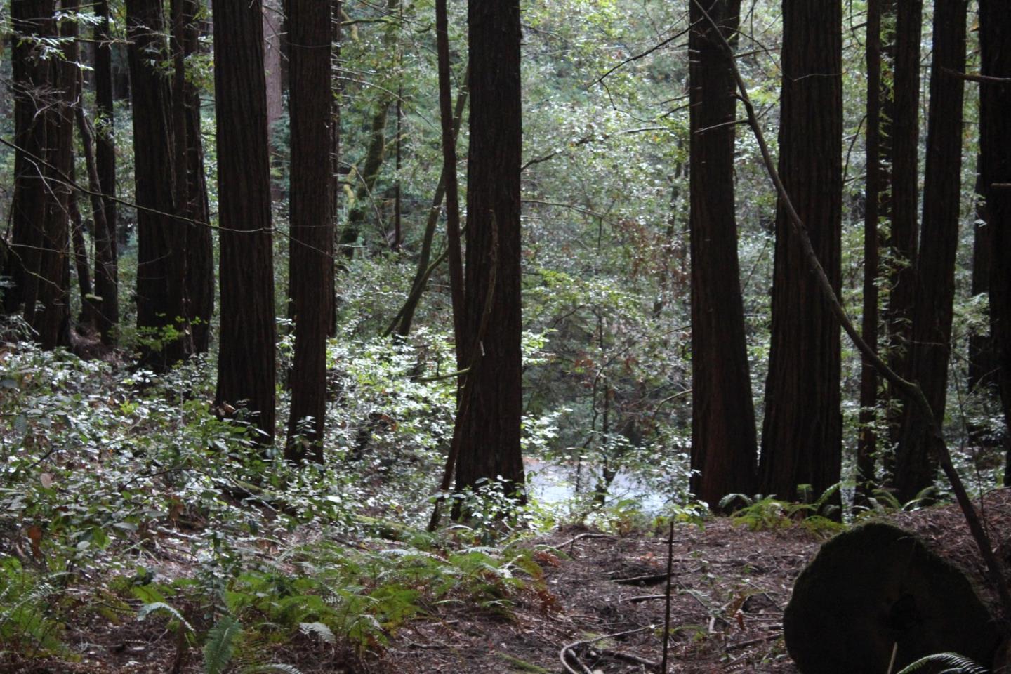 000 Tunitas Creek RD