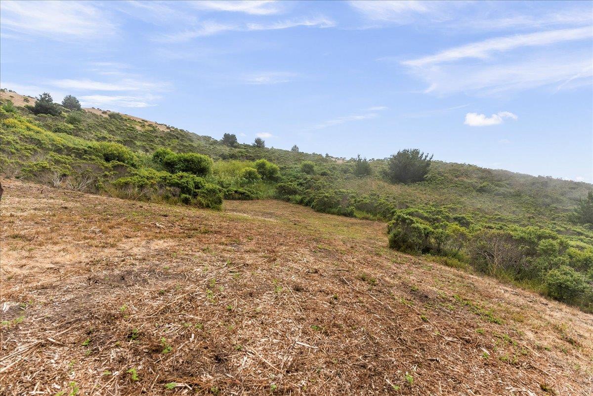 0000 Stage RD