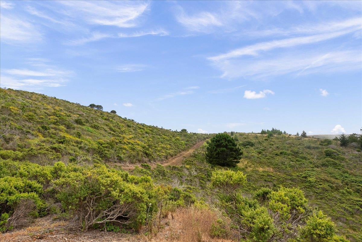 0000 Stage RD