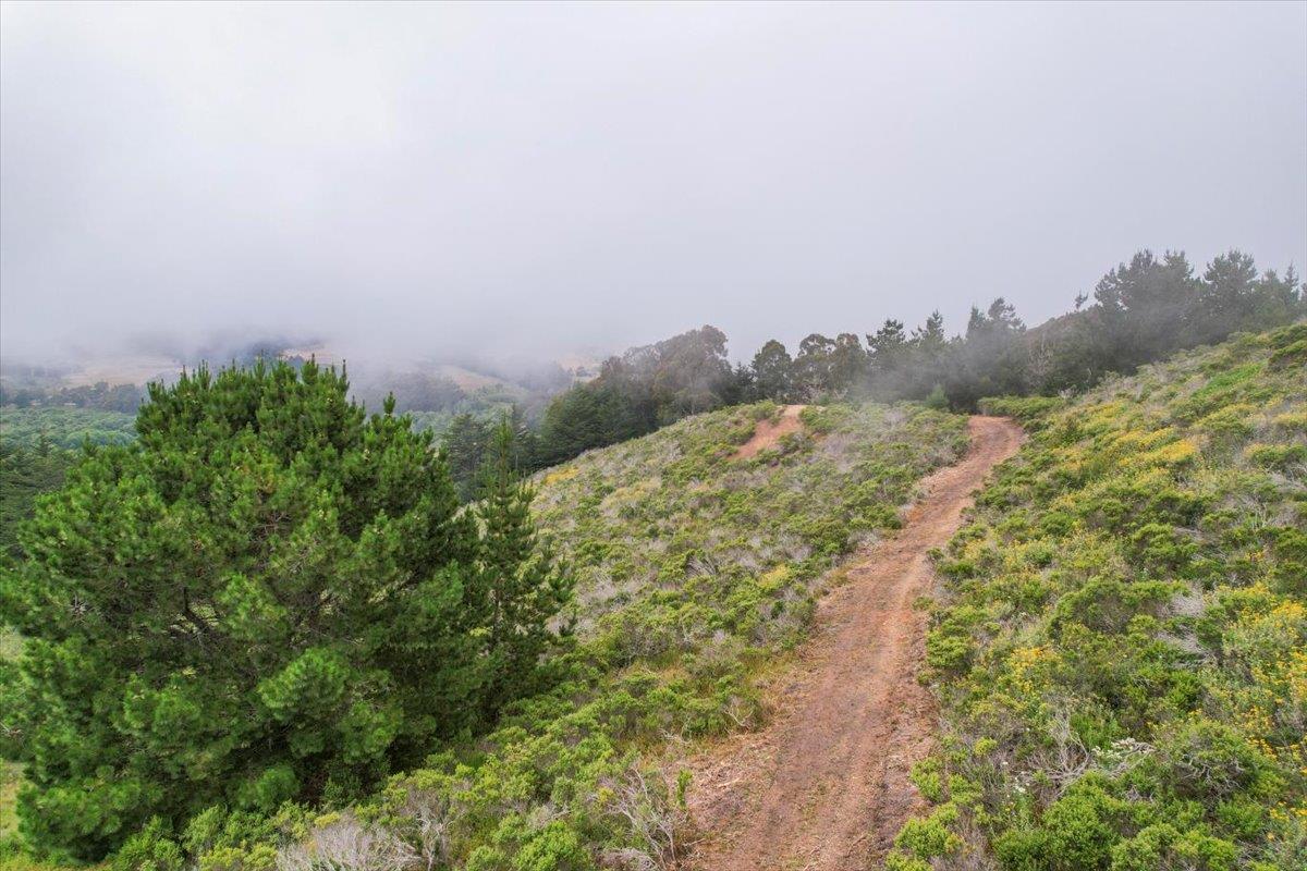 0000 Stage RD