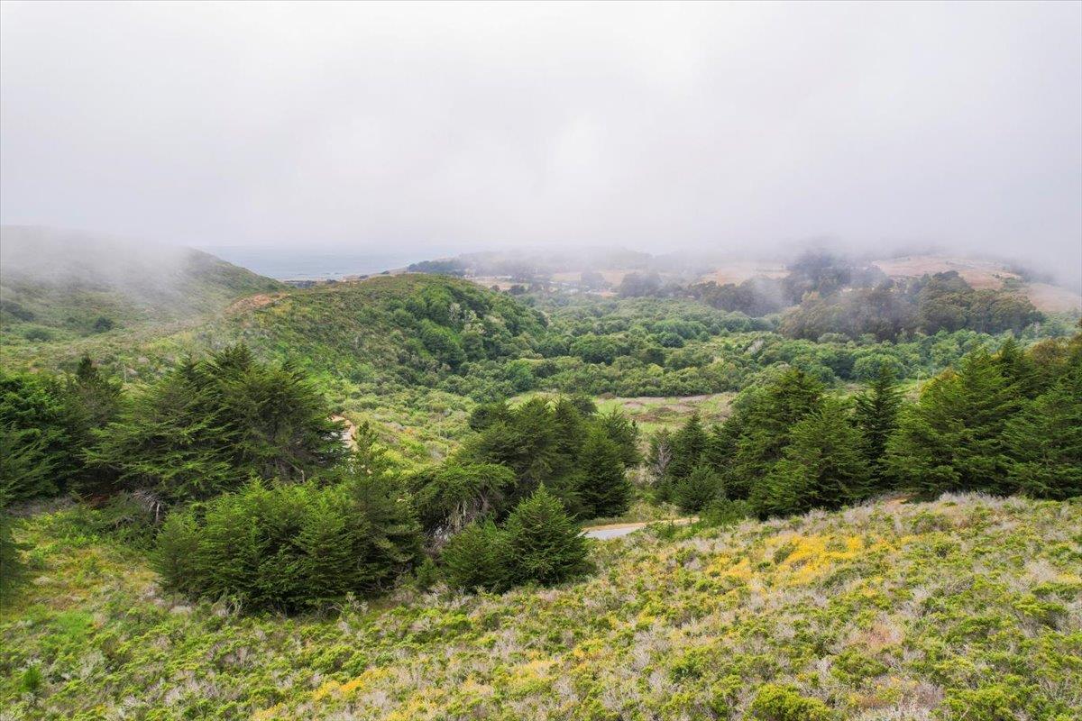 0000 Stage RD