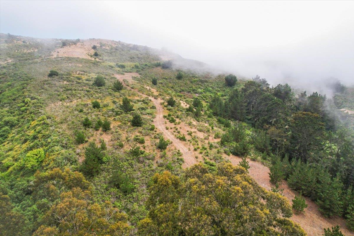 0000 Stage RD