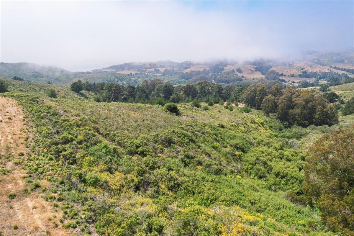 0000 Stage RD