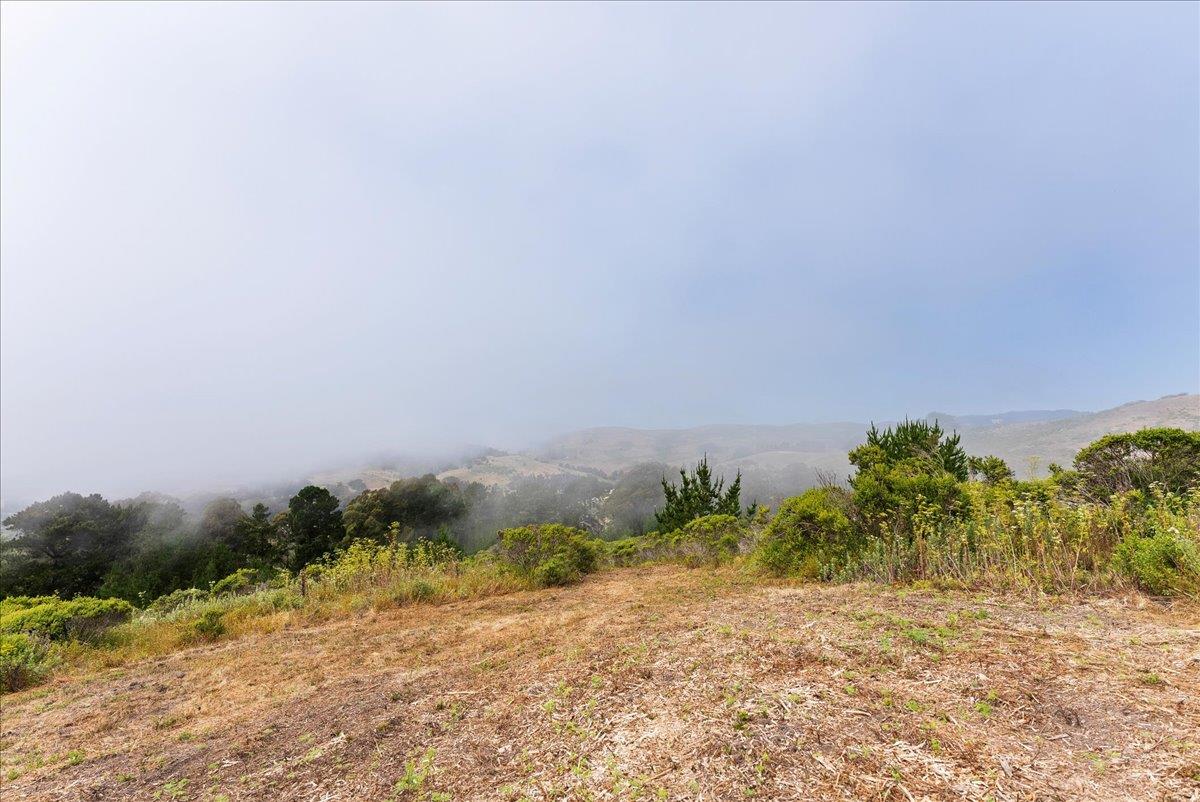 0000 Stage RD