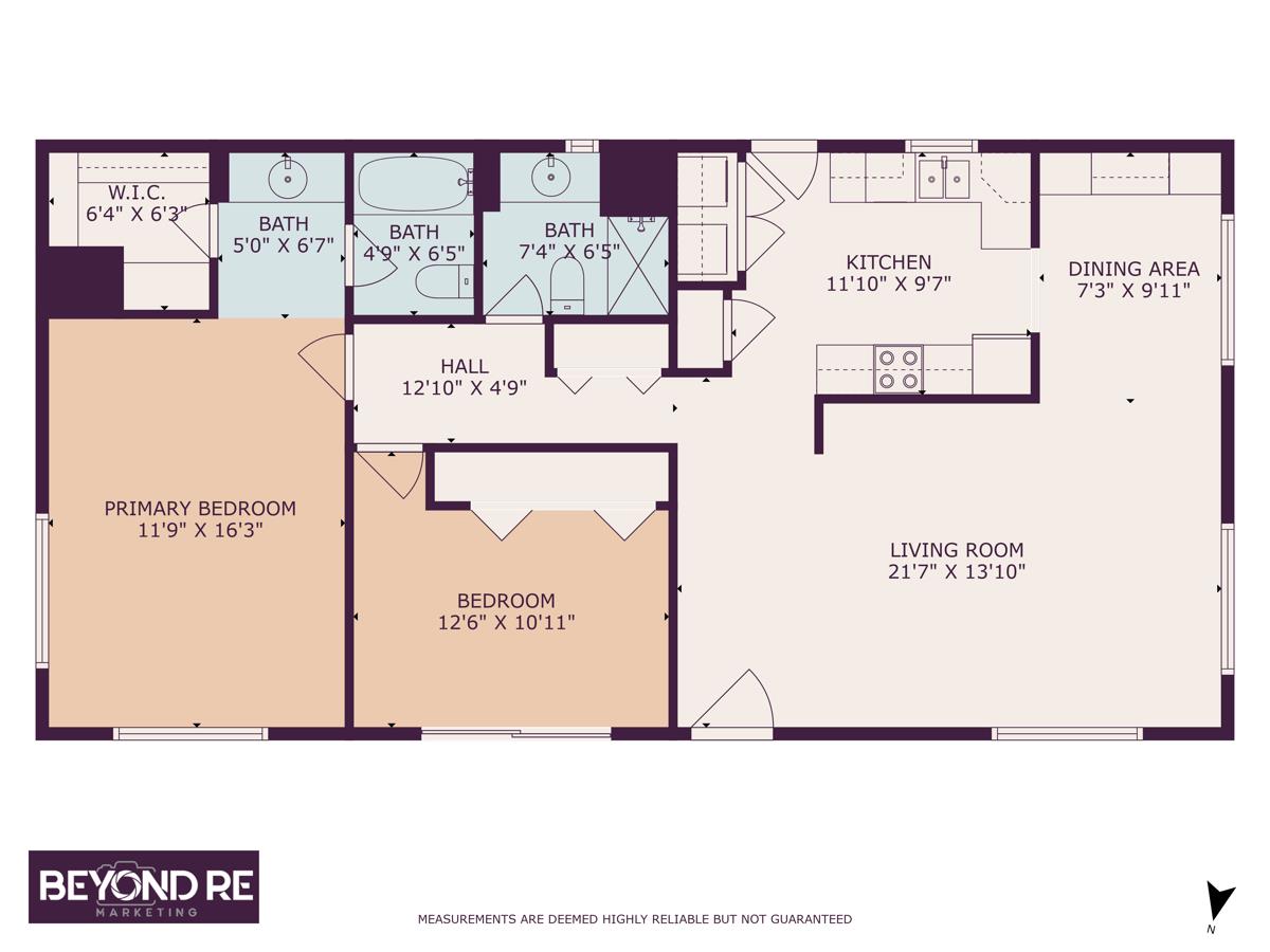 10 Sea Shell CIR 10