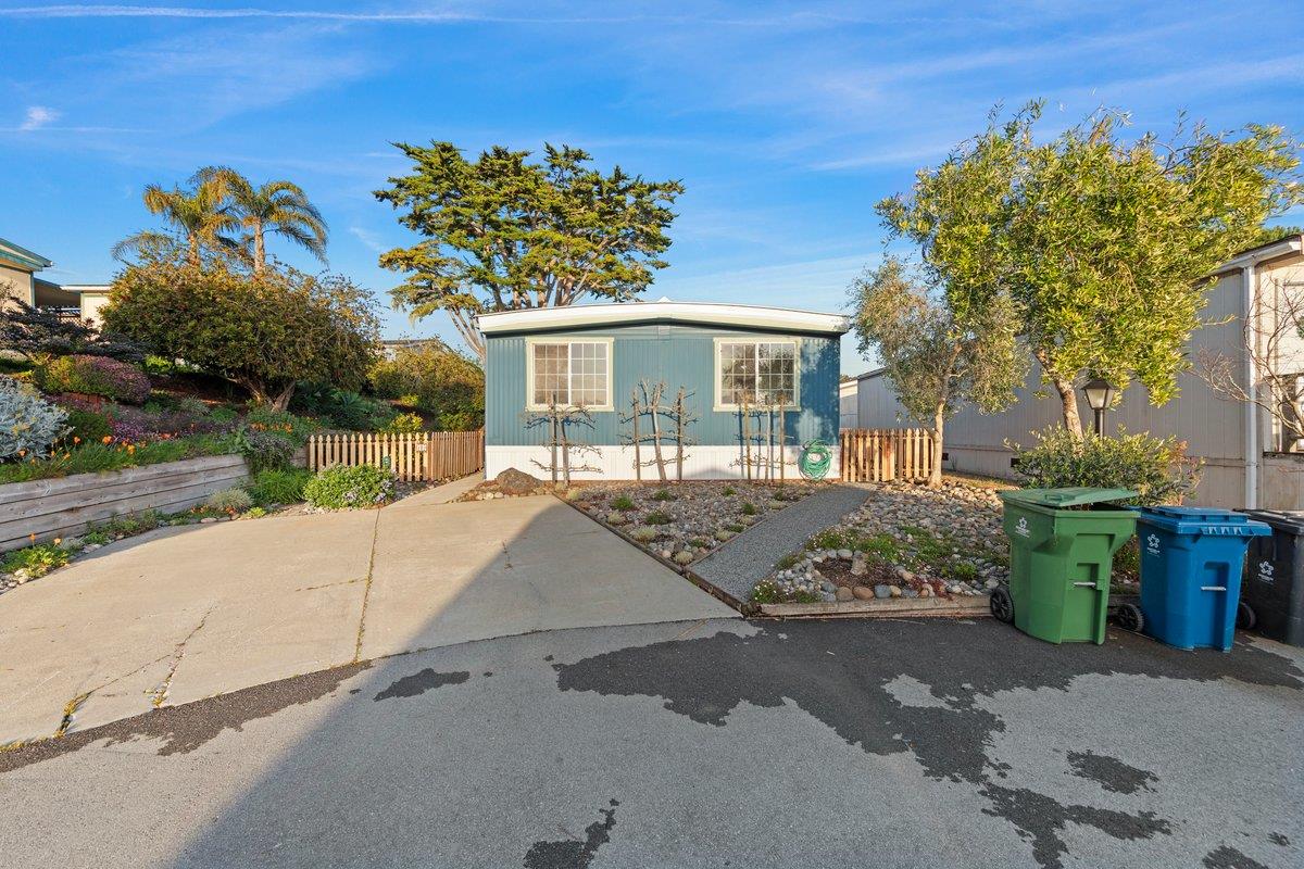 10 Sea Shell CIR 10