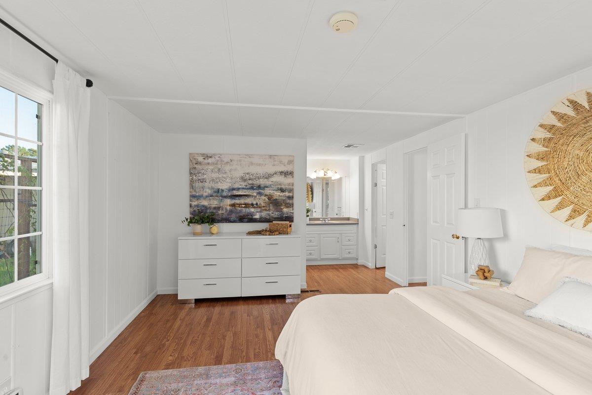 10 Sea Shell CIR 10