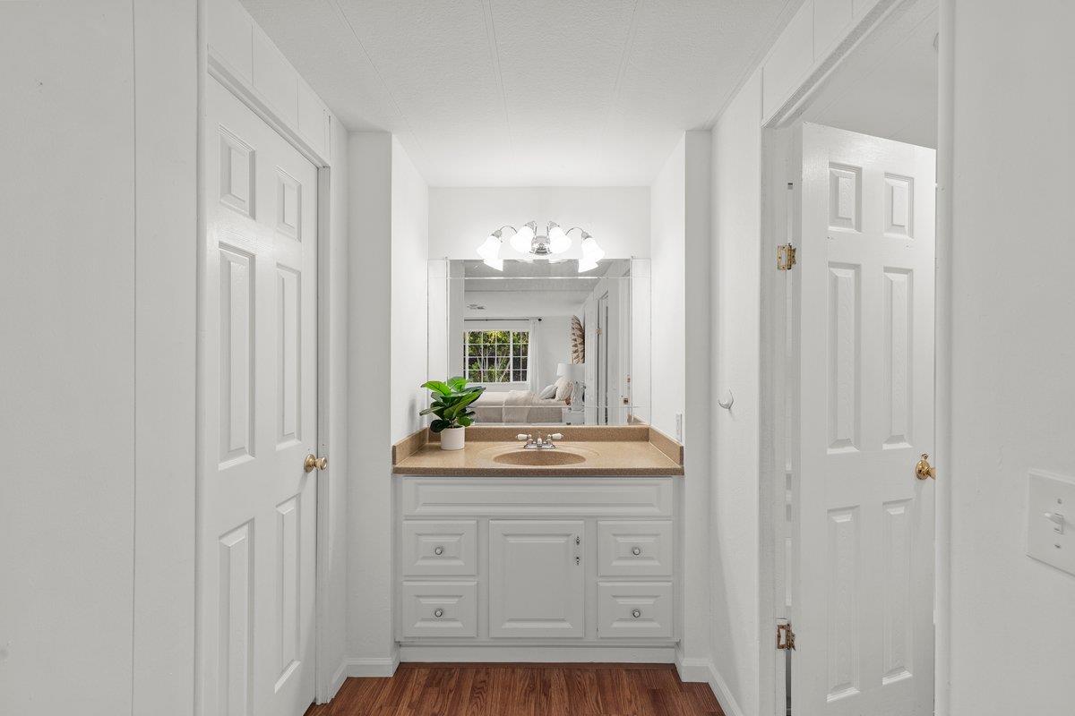 10 Sea Shell CIR 10