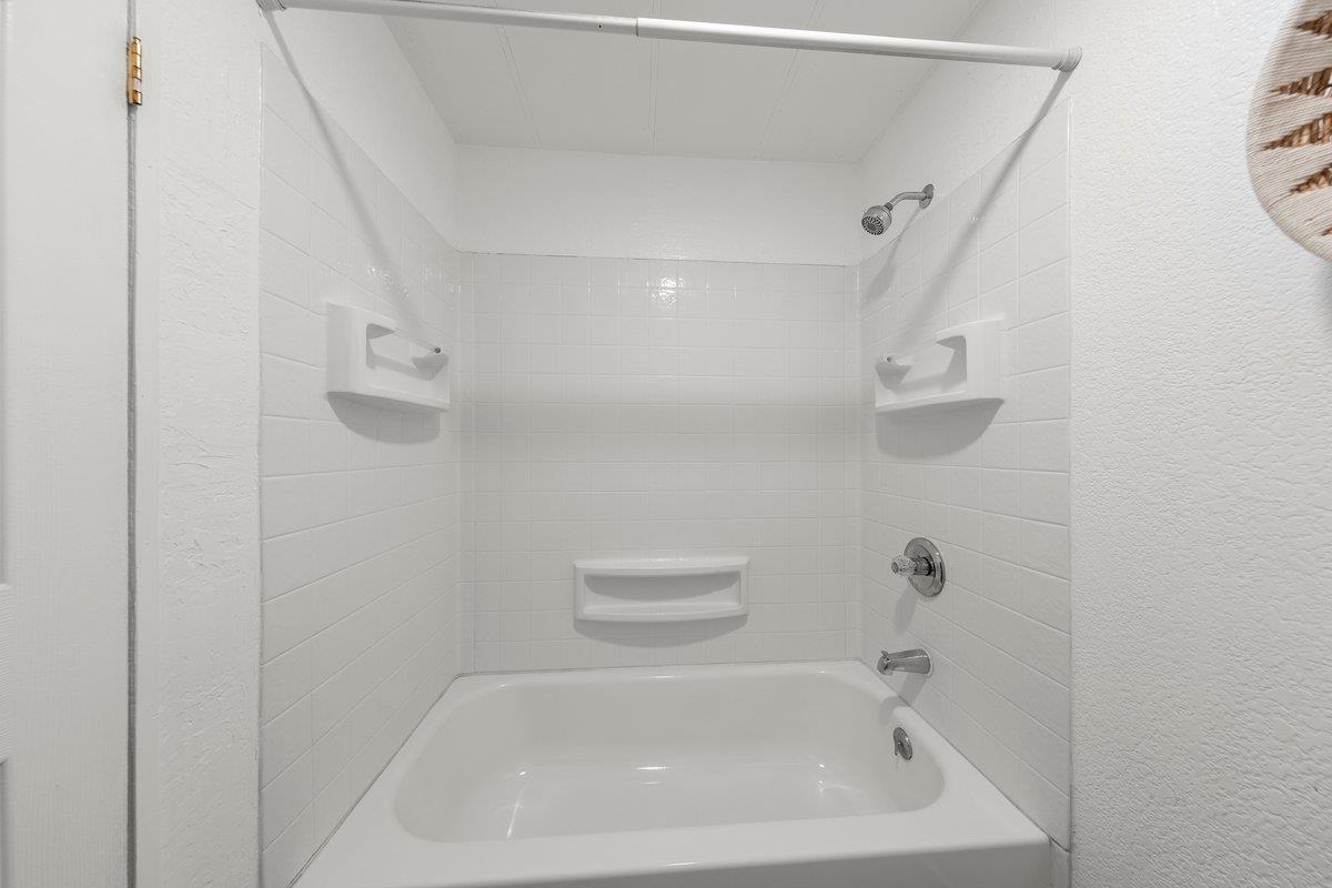 10 Sea Shell CIR 10