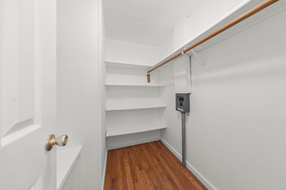 10 Sea Shell CIR 10