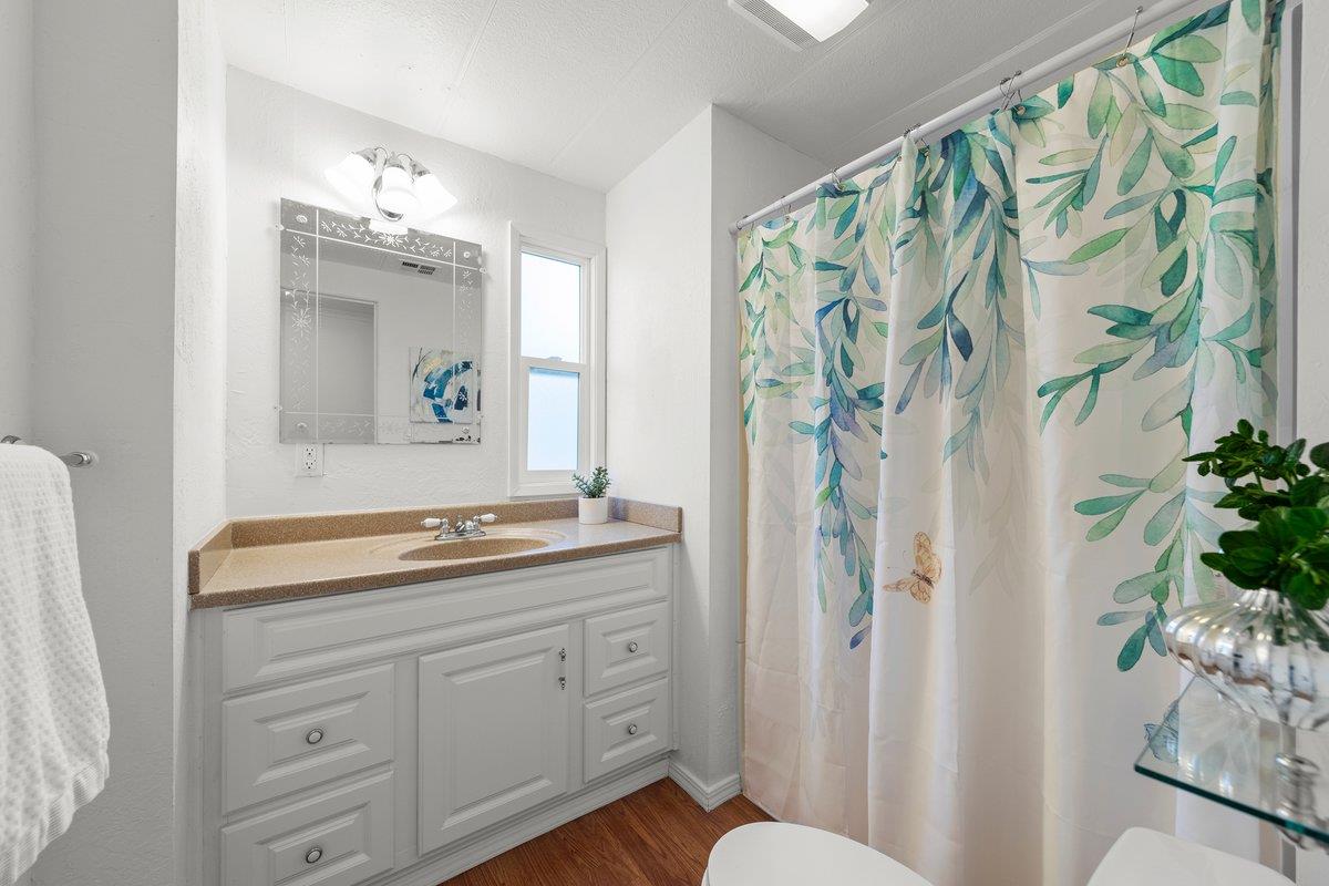 10 Sea Shell CIR 10