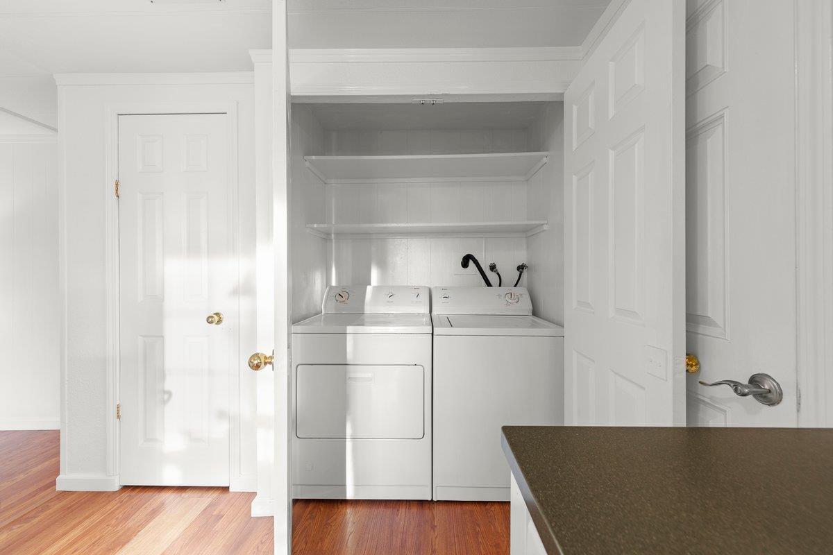 10 Sea Shell CIR 10