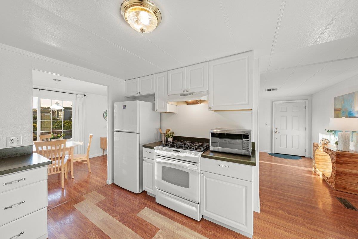 10 Sea Shell CIR 10