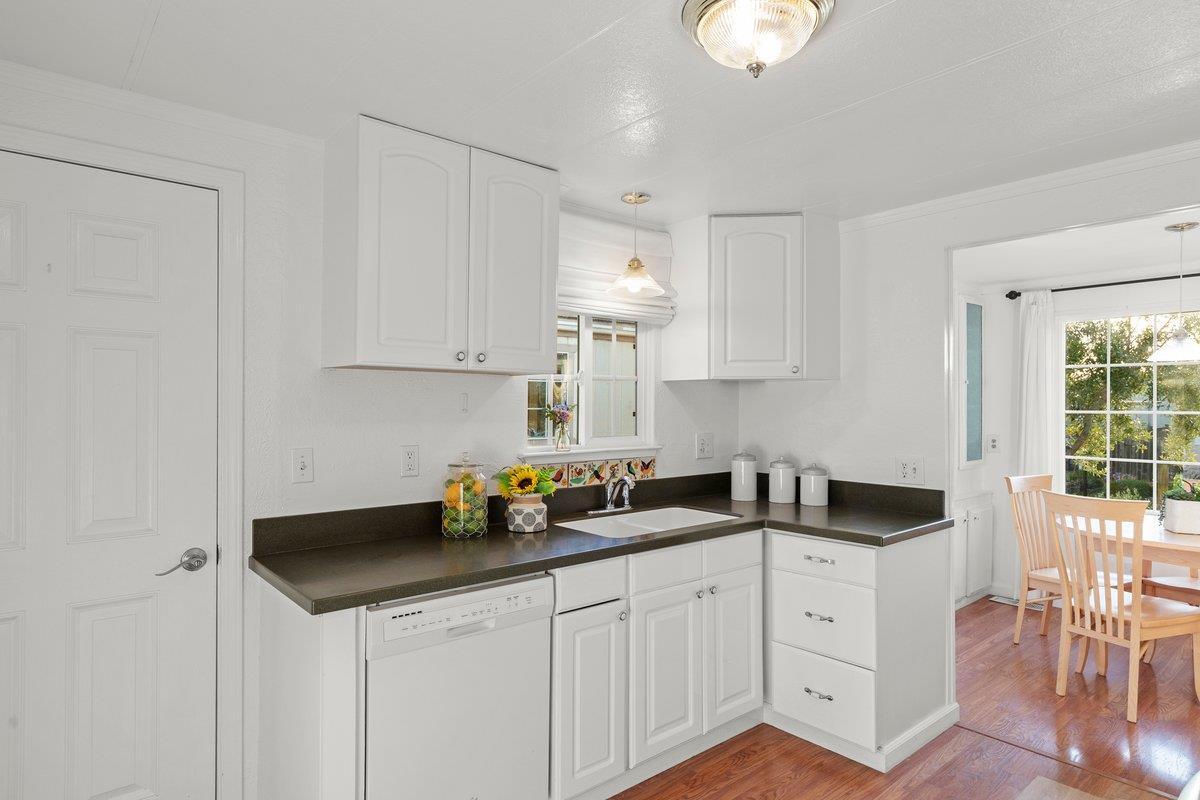 10 Sea Shell CIR 10