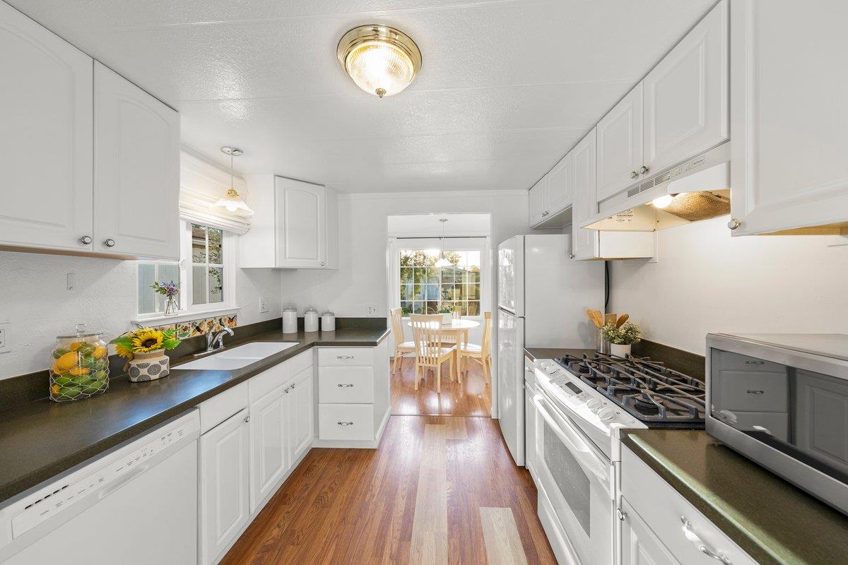 10 Sea Shell CIR 10