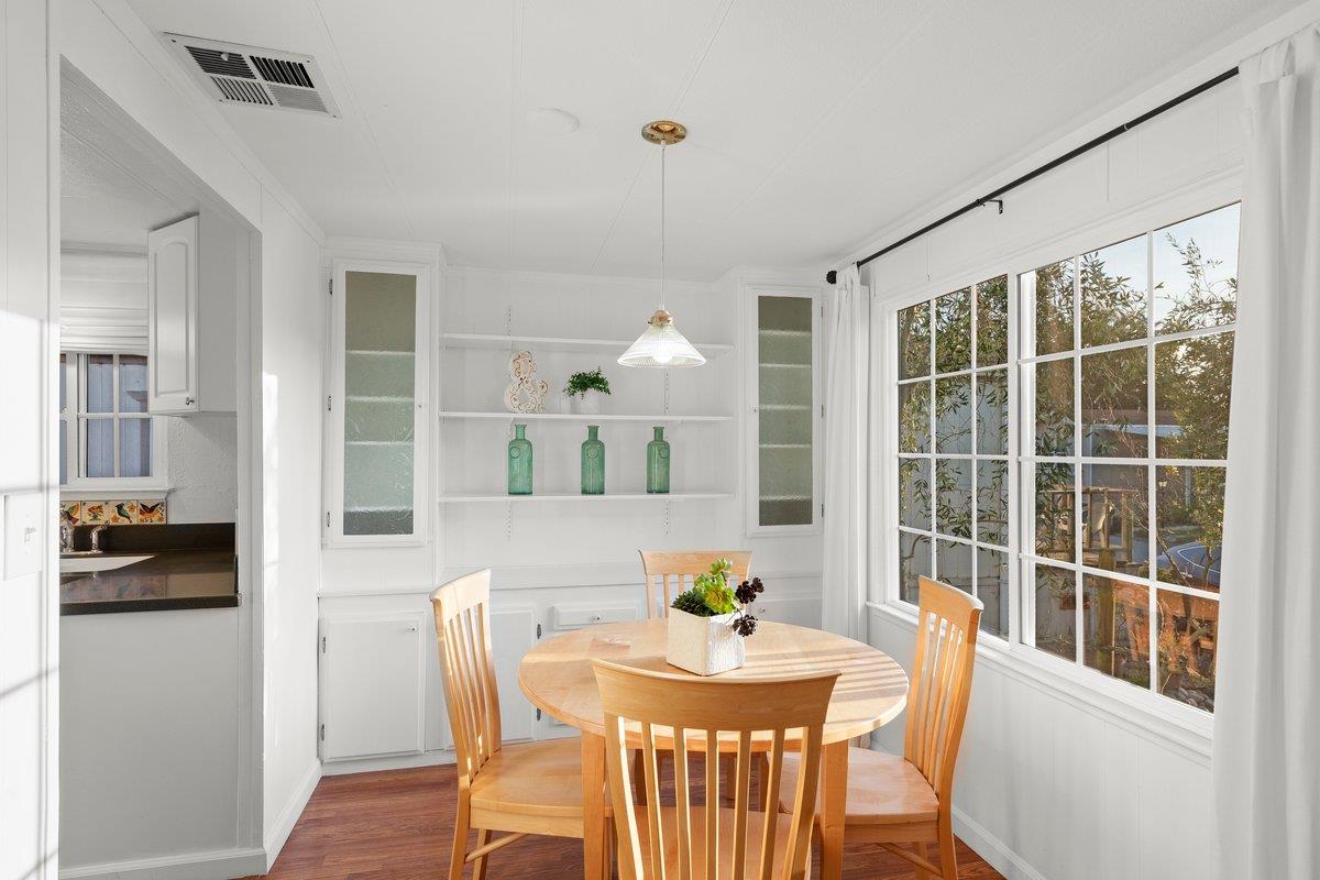 10 Sea Shell CIR 10