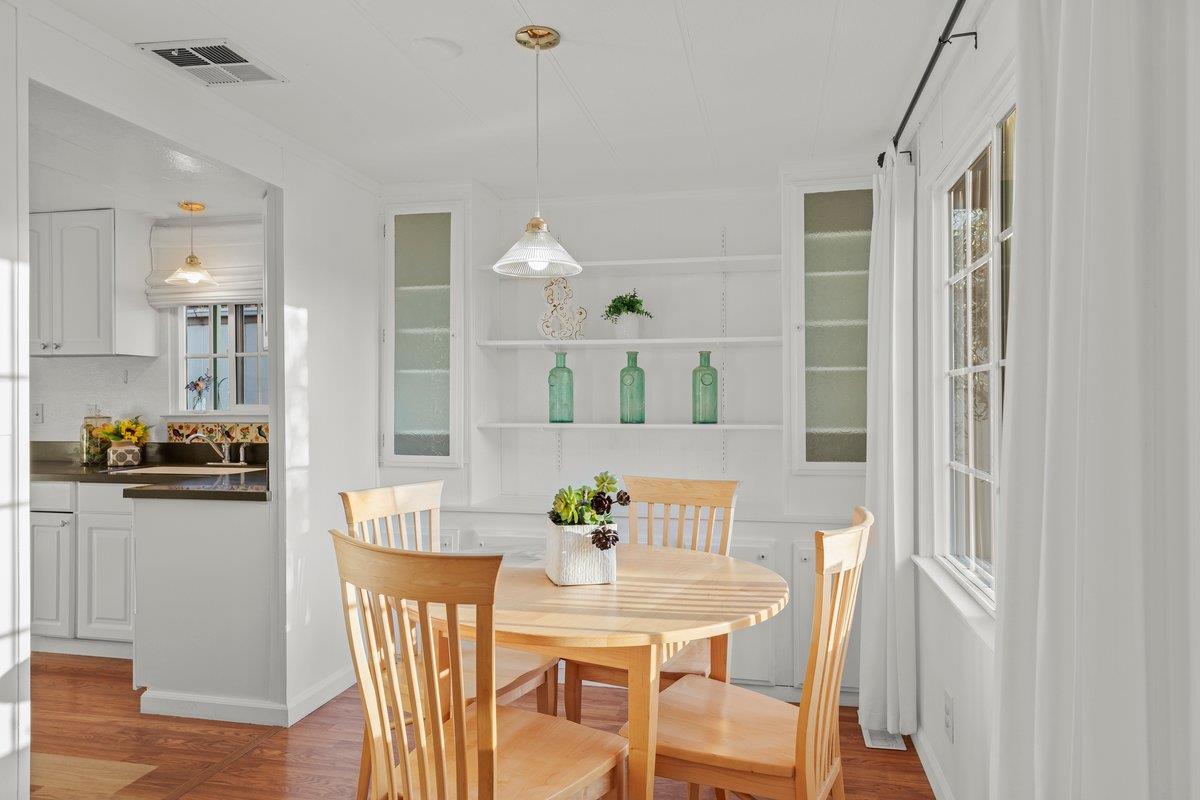10 Sea Shell CIR 10