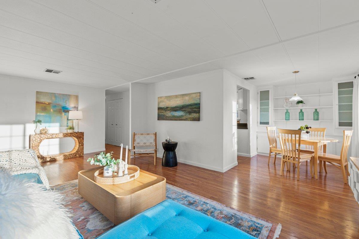 10 Sea Shell CIR 10