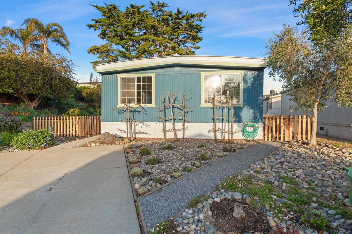 10 Sea Shell CIR 10