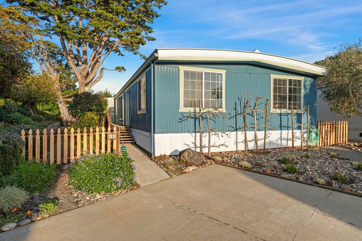 10 Sea Shell CIR 10
