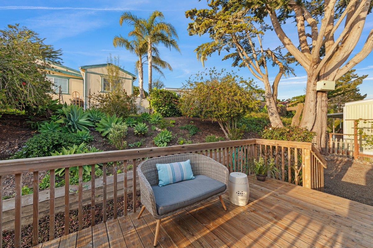 10 Sea Shell CIR 10