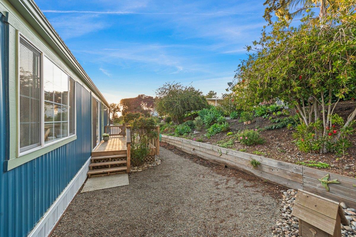 10 Sea Shell CIR 10