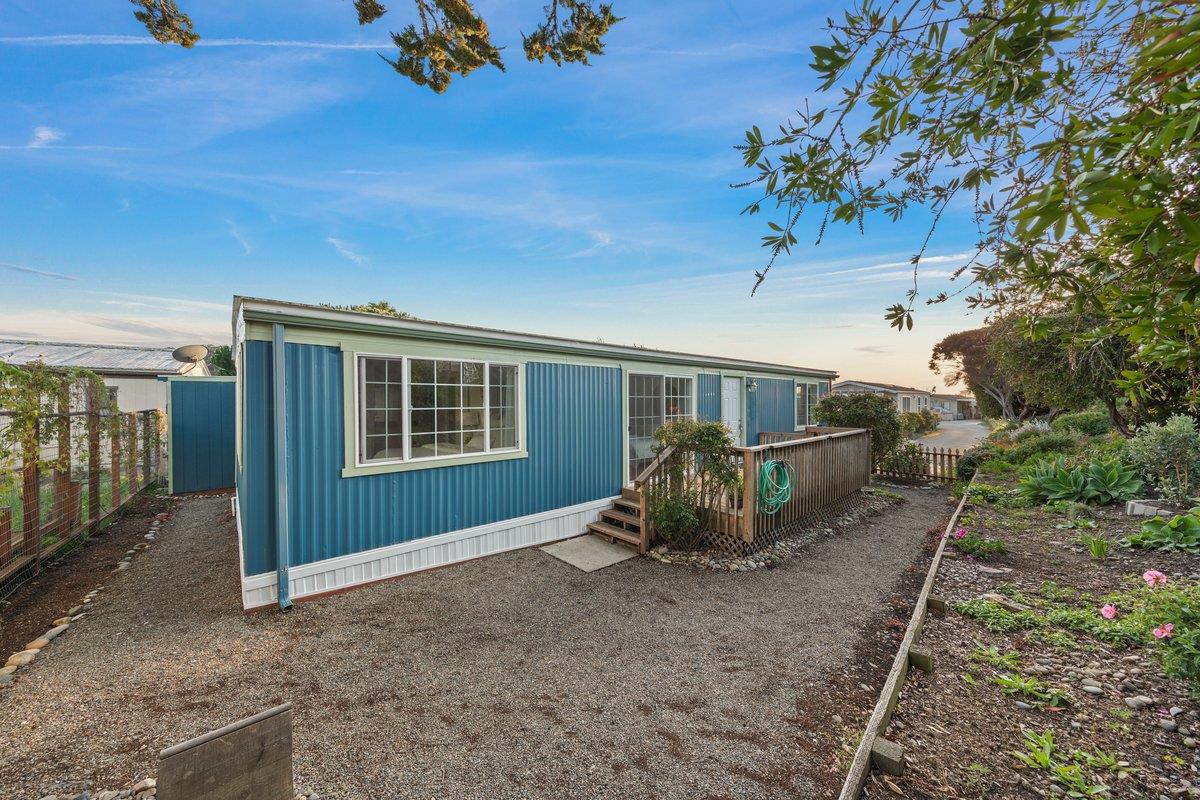 10 Sea Shell CIR 10