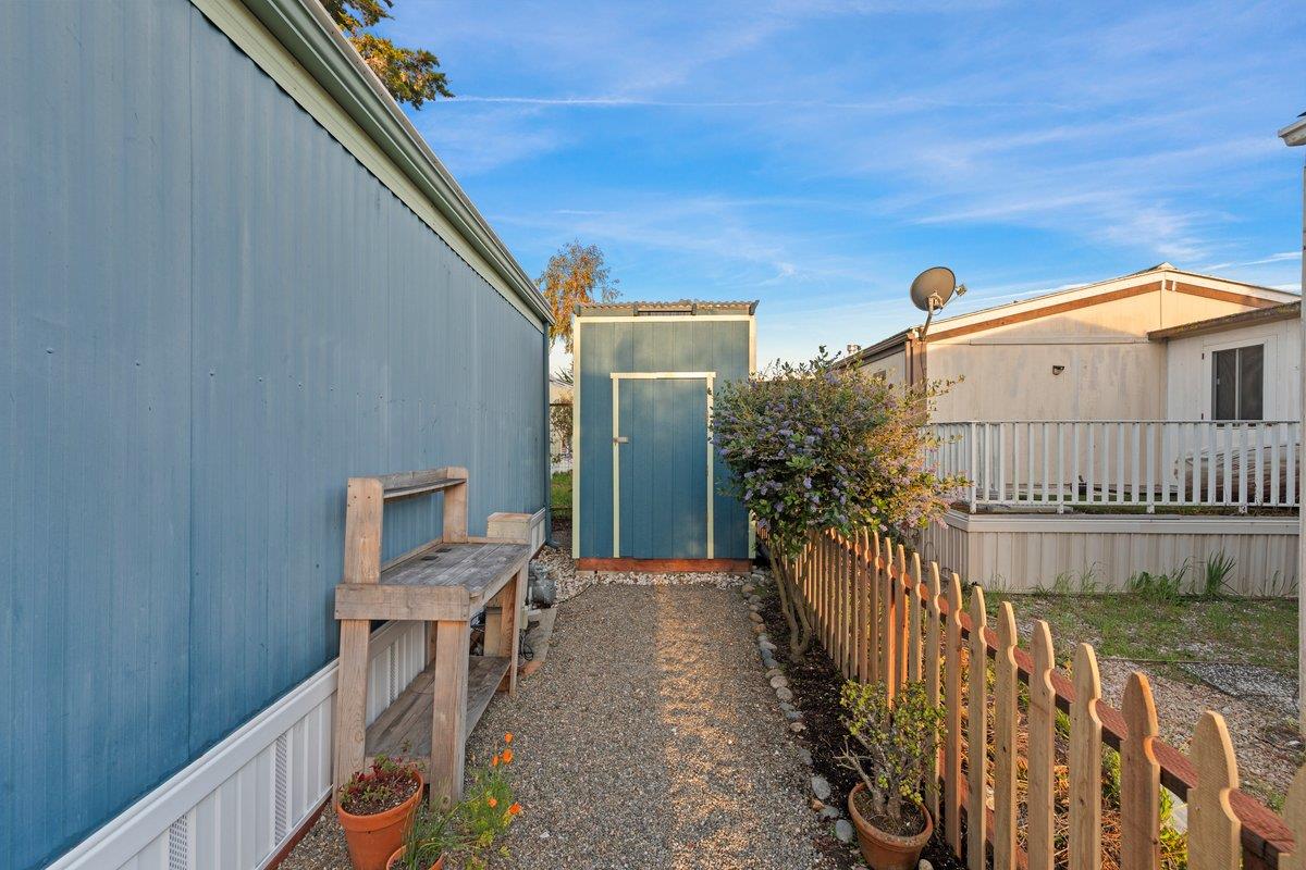 10 Sea Shell CIR 10