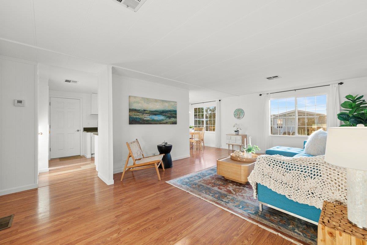 10 Sea Shell CIR 10