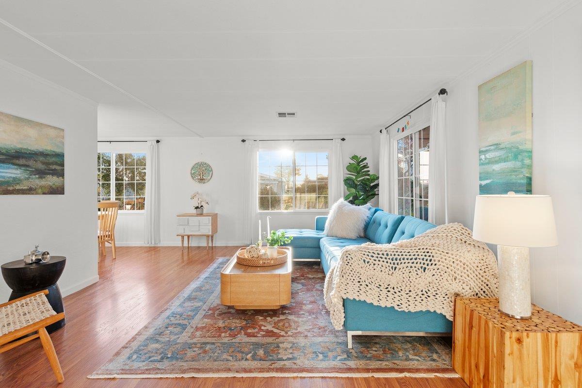 10 Sea Shell CIR 10