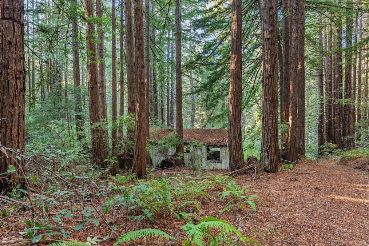 3936 Tunitas Creek Road