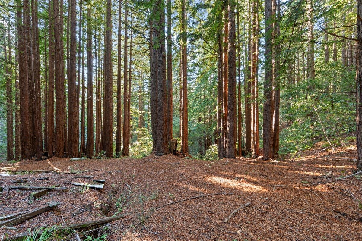 3936 Tunitas Creek Road